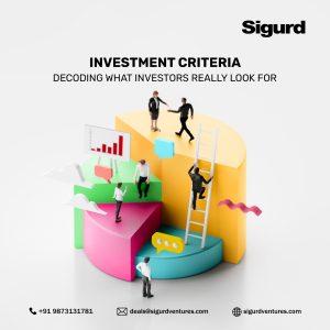 Investment Criteria: Decoding What Investors Really Look For